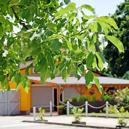 Kwatera prywatna Ferienwohnung/ Ferienzimmer Asche *